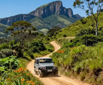 Aventura Off-Road na Coxilha Rica: Descubra os Melhores Passeios Aventura Off-Road na Coxilha Rica: Descubra os Melhores Passeios