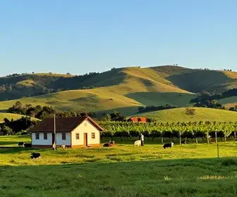 Descubra o Charme do Turismo Rural em Lages – SC Descubra o Charme do Turismo Rural em Lages - SC
