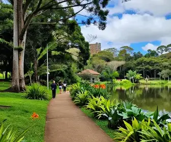 Descubra o Parque Jonas Ramos: O Tanque em Lages - SC