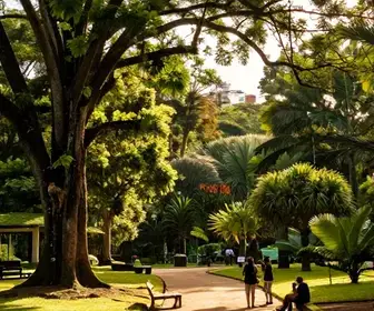 Descubra o Parque Natural Municipal João José Theodoro da Costa Neto em Lages – SC Descubra o Parque Natural Municipal João José Theodoro da Costa Neto em Lages - SC