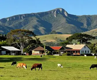 Descubra os 5 melhores hotéis-fazenda em Lages: guia completo