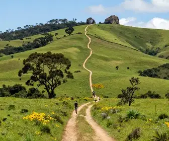 Explorando o Caminho das Tropas na Coxilha Rica: Uma Viagem pela História e Natureza Explorando o Caminho das Tropas na Coxilha Rica: Uma Viagem pela História e Natureza